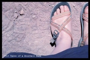 Chaco Chari Sandal