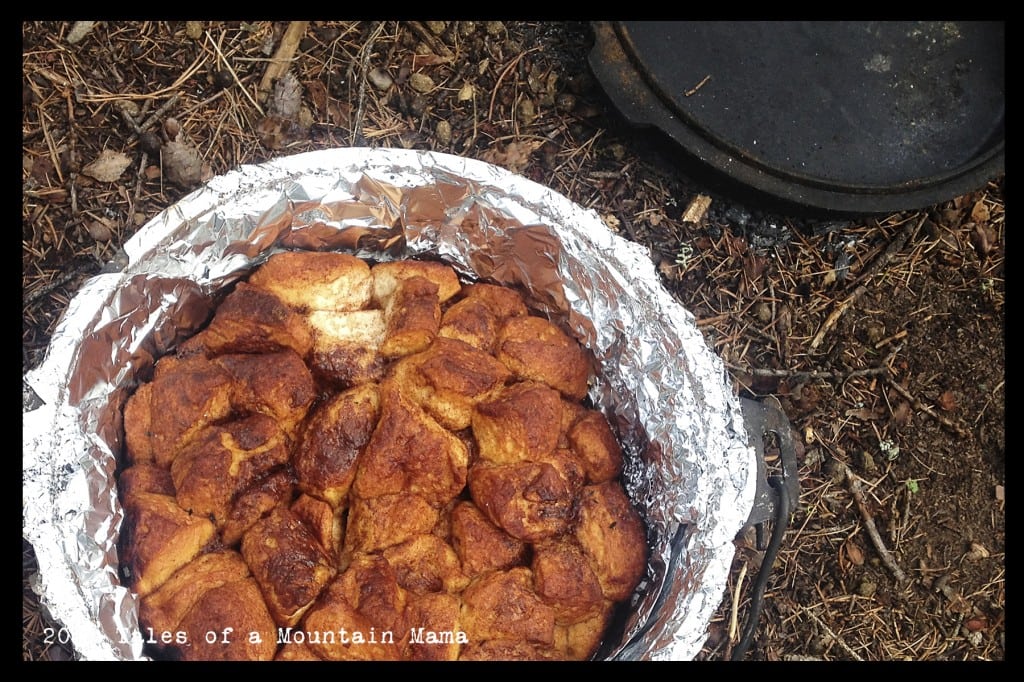 Cooking Around the Campfire with Cast Iron Tales of a Mountain Mama