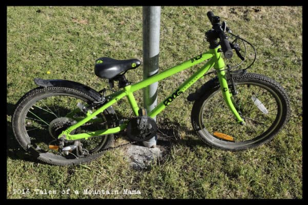 specialized secteur elite