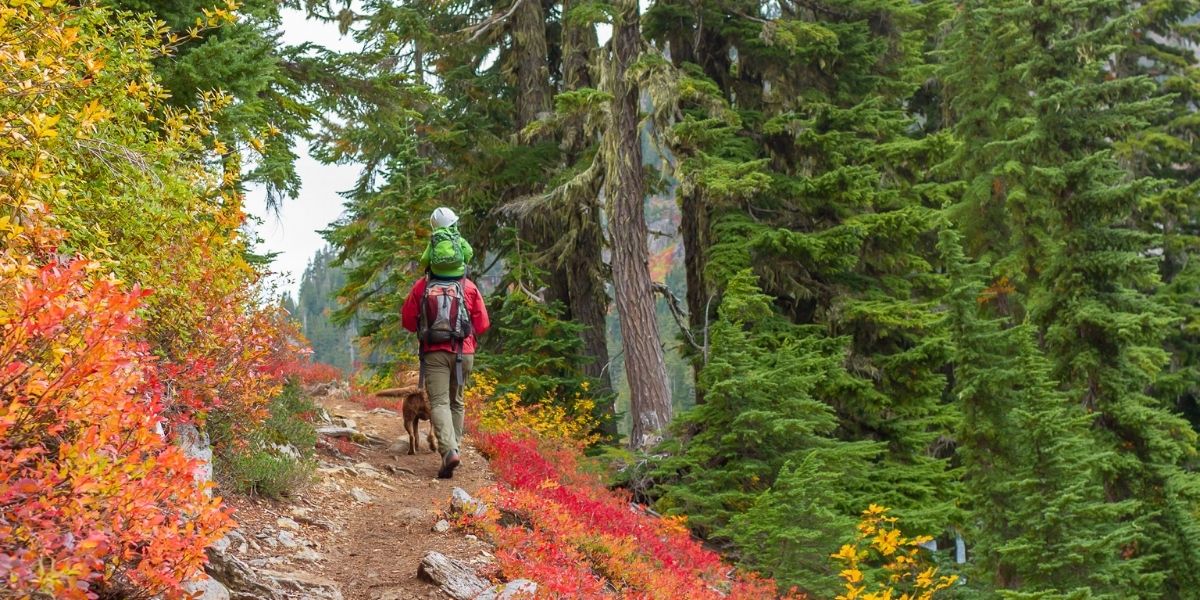 Fall Hiking Safety