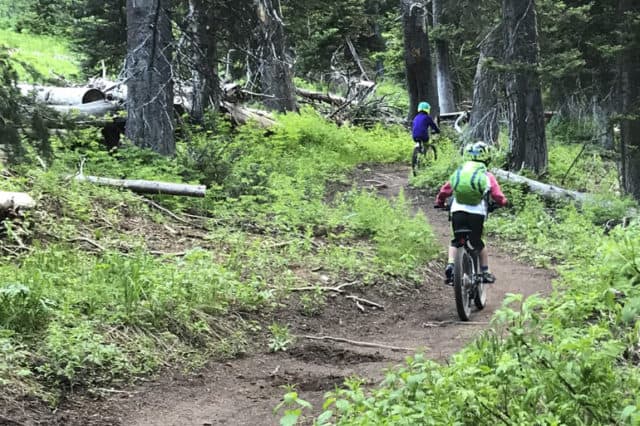 Mountain Biking with Kids