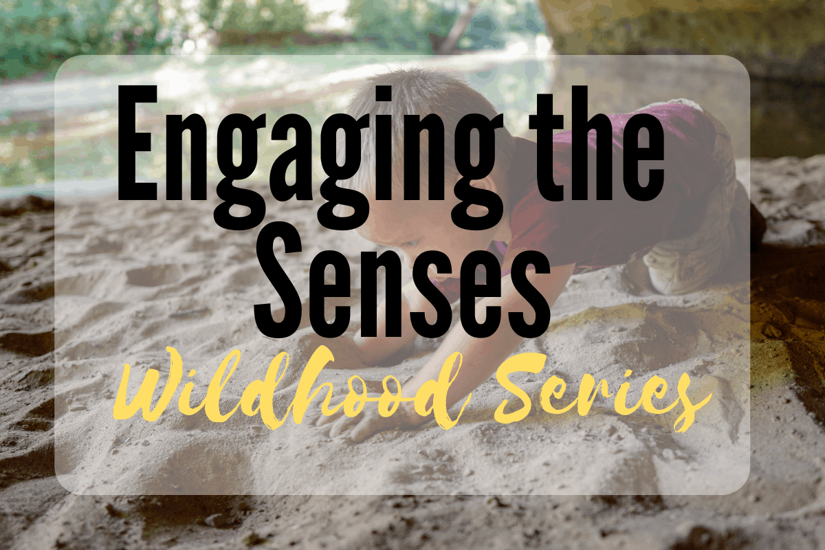 Engaging the Senses