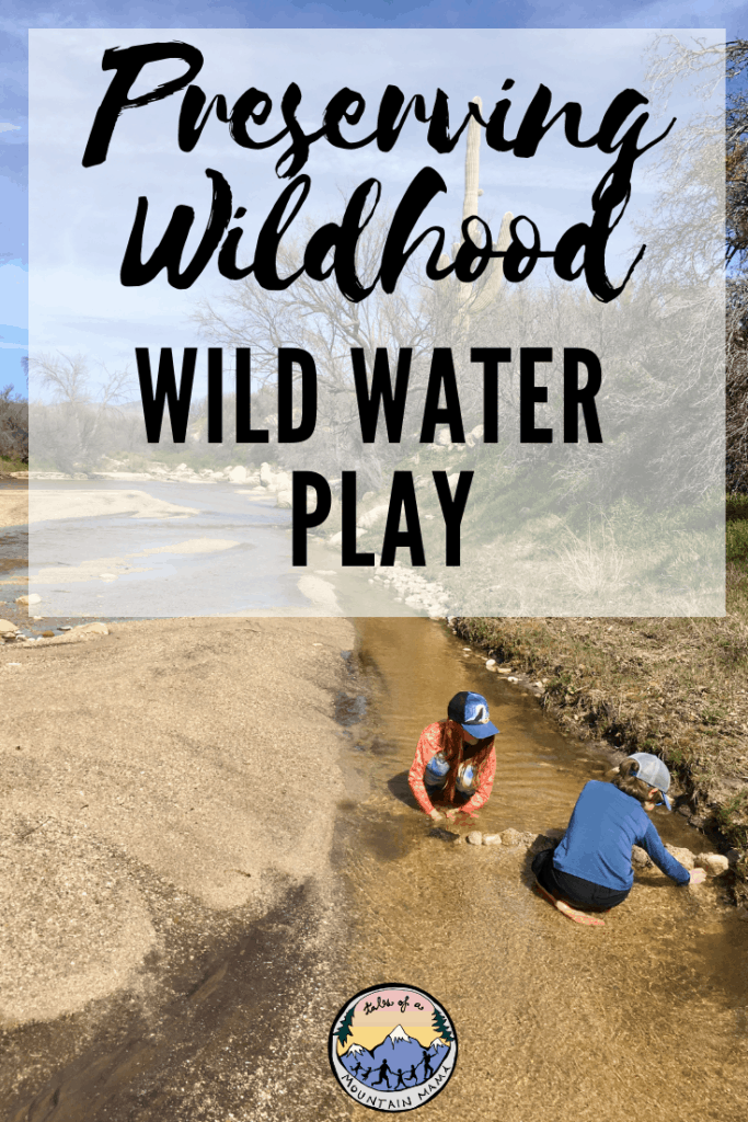 Wiid Water Play