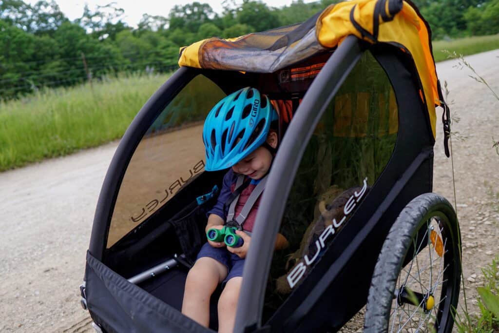 Burley Bee Review Budget Bike Trailer Tales of a Mountain Mama