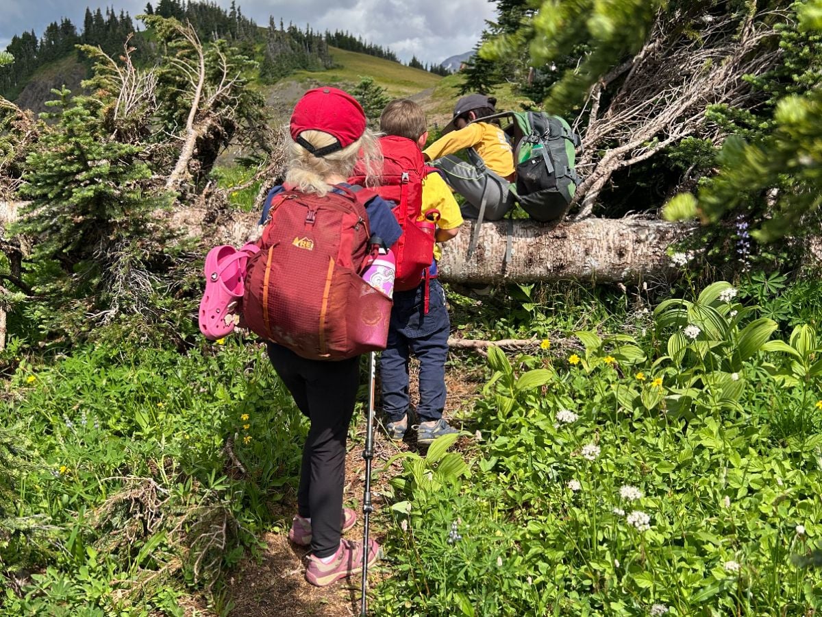 Best Hiking Backpacks for Kids - Horizontal 3 Little girl hiking with the tarn 18 in red