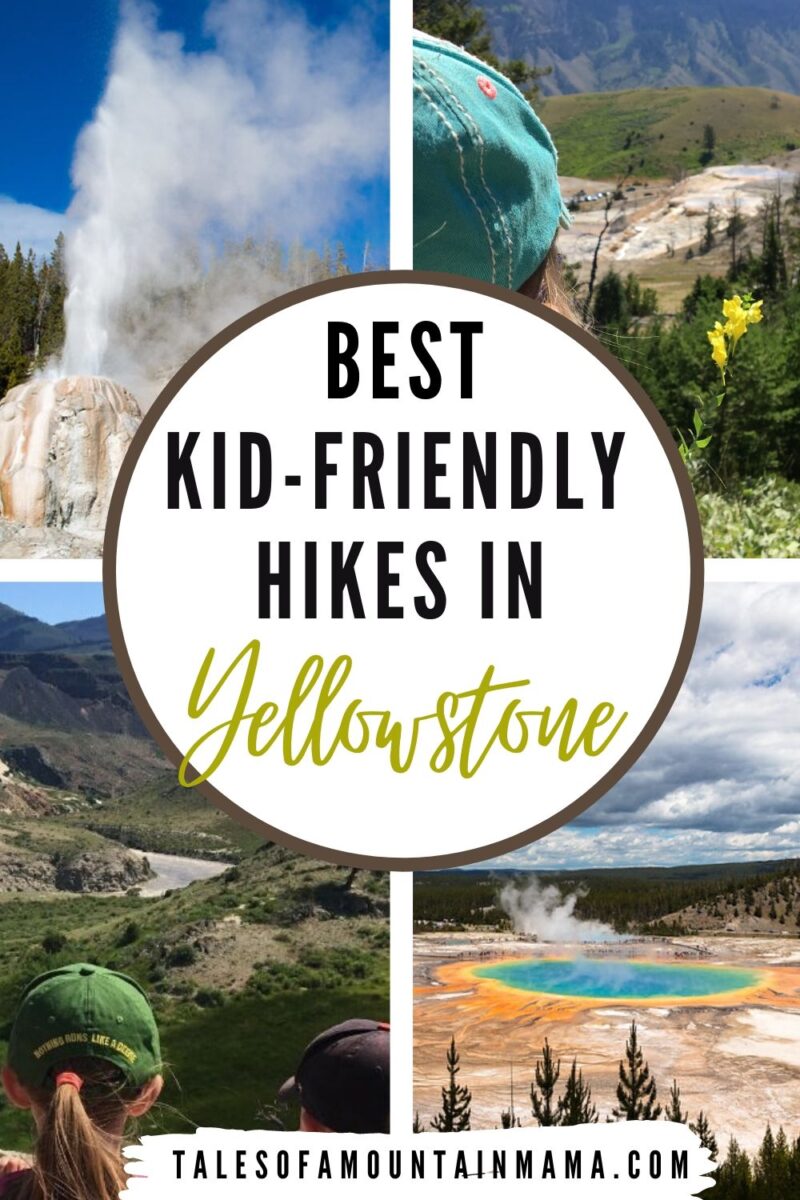 10 Best Yellowstone Kid Friendly Hikes Tales of a Mountain Mama