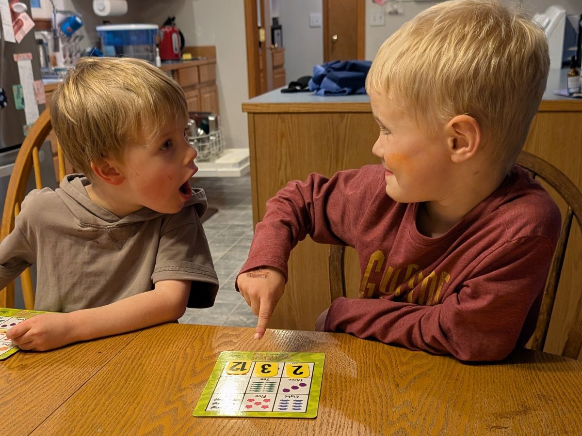 Best indoor active play gifts horizontal 12 Two young boys arguing over a Zingo game