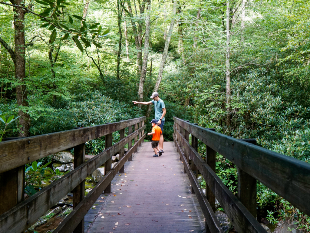 50 Hiking Games for Kids Tales of a Mountain Mama