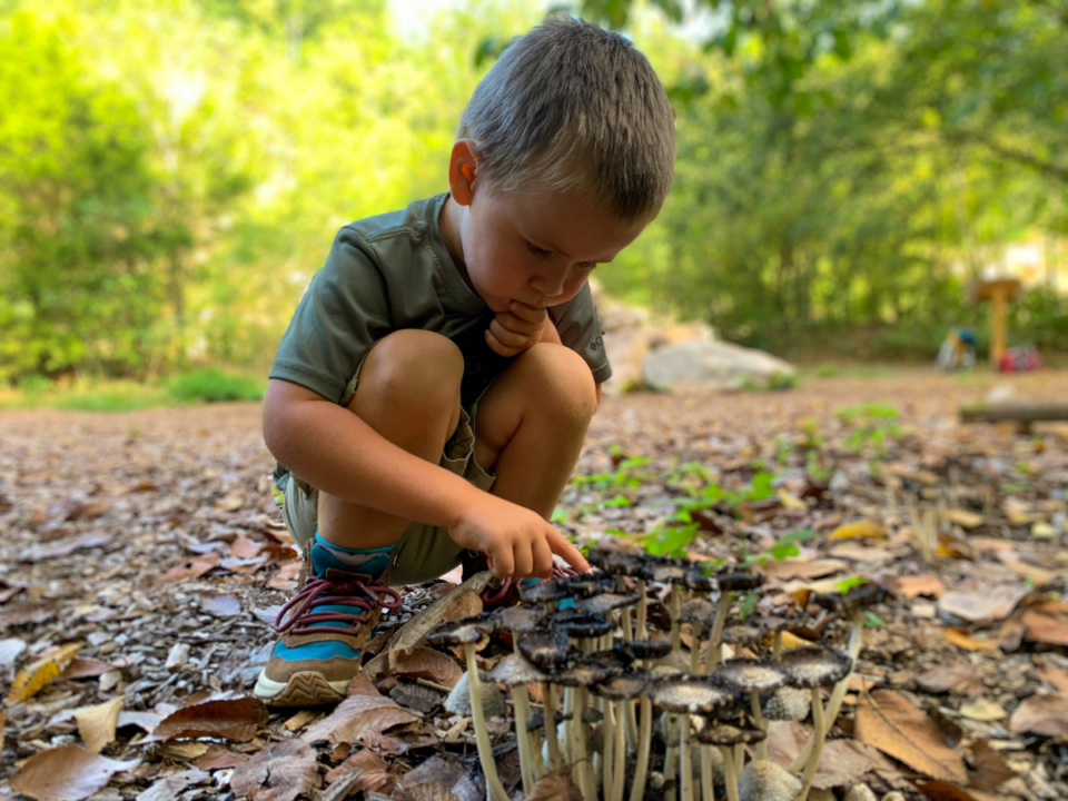 50 Hiking Games for Kids Tales of a Mountain Mama