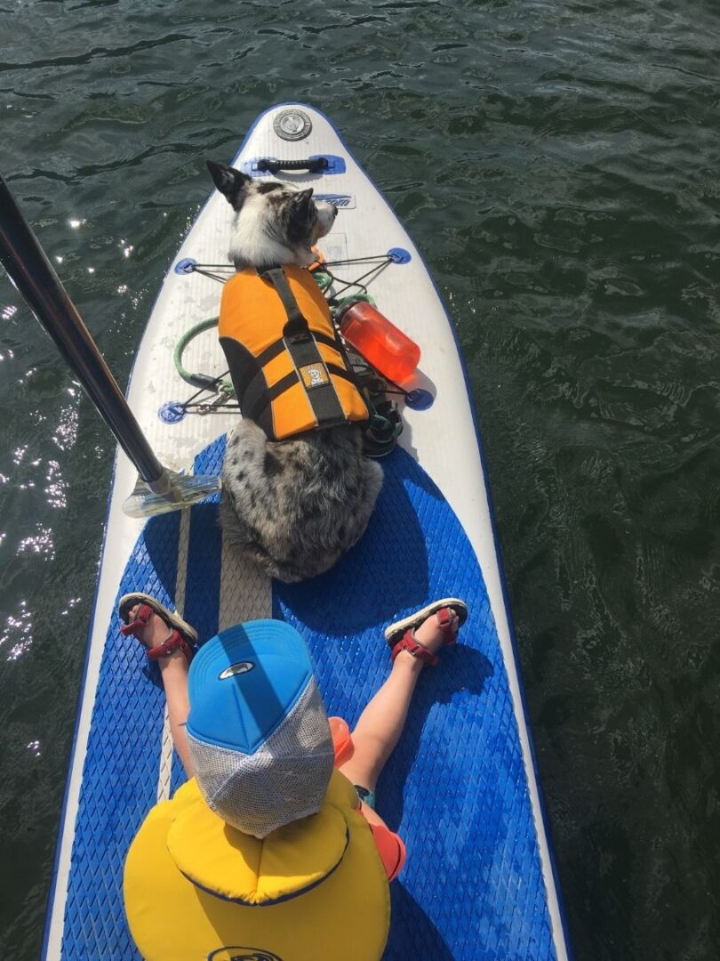 Paddle Board with Your Dog Tales of a Mountain Mama