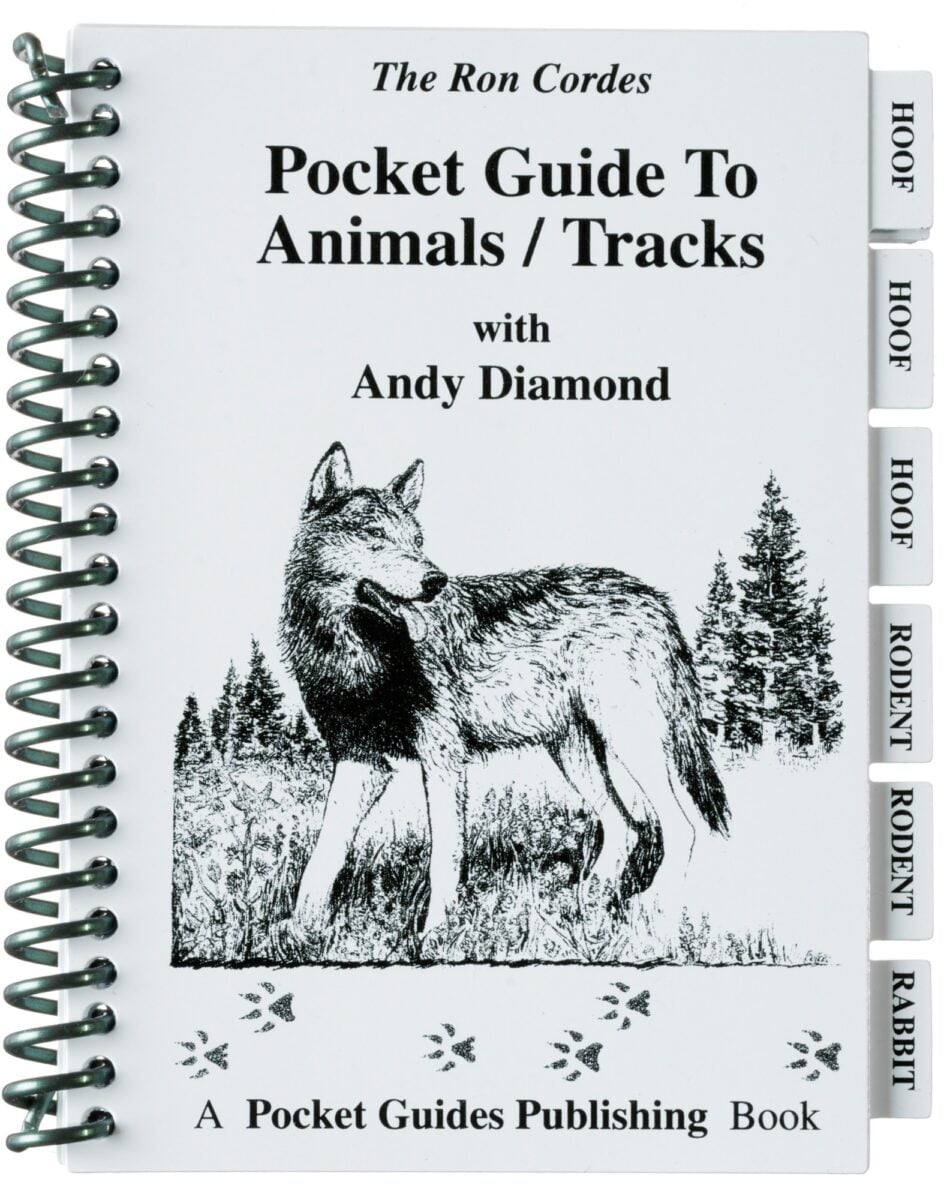 Animal and Track Identification Guide