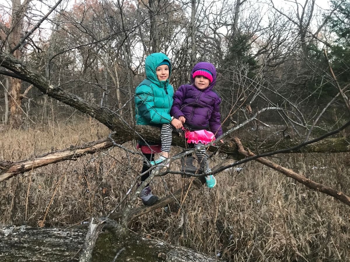 girls playing on tree in the winter