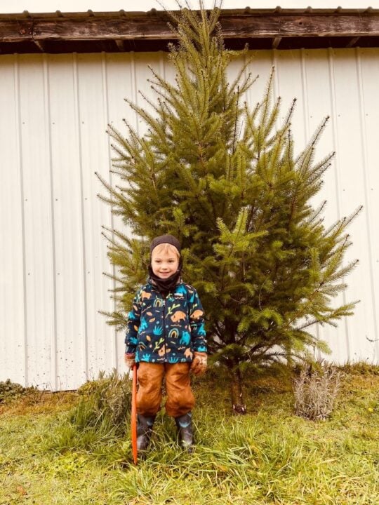 little boy wearing wool balaclava in the rain next to Christmas tree he cut.