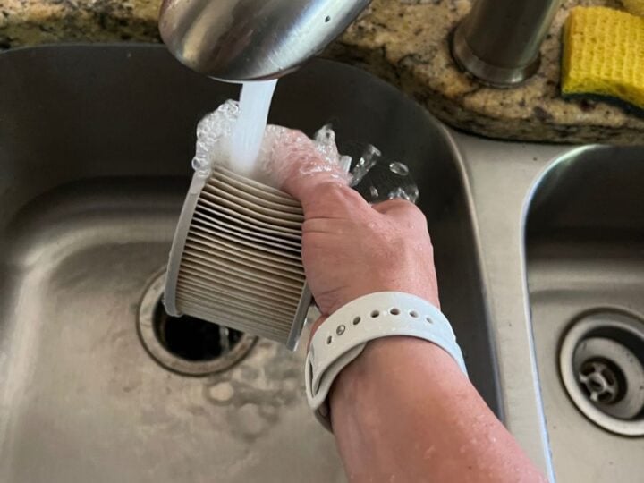 rinsing the filter after each use