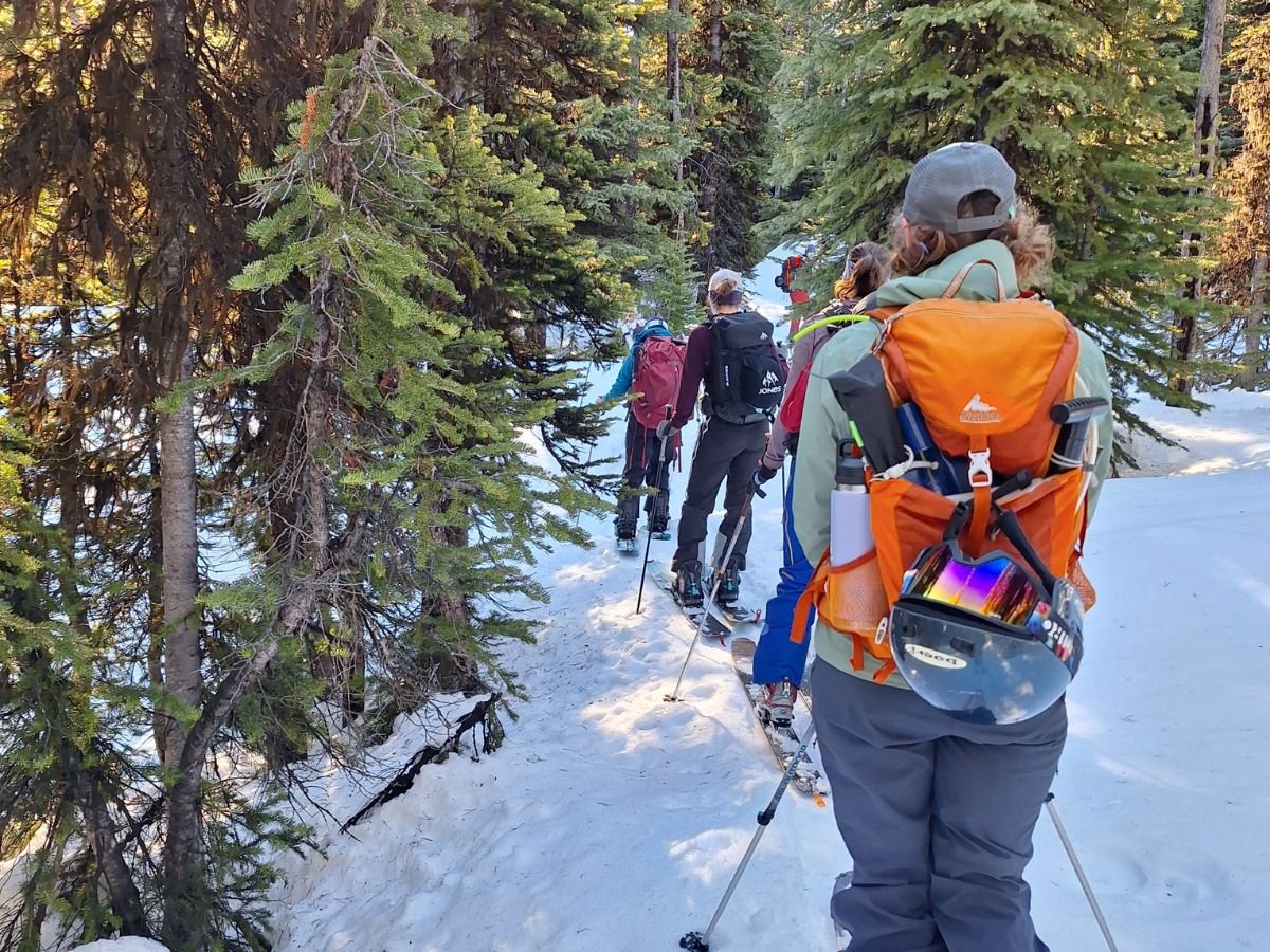 A group of women backcountry skiing.