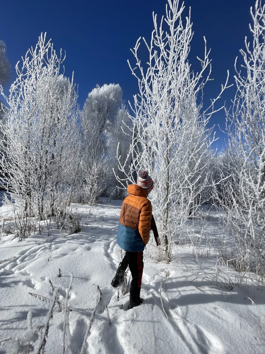 A kid waling through a snowy landscape.