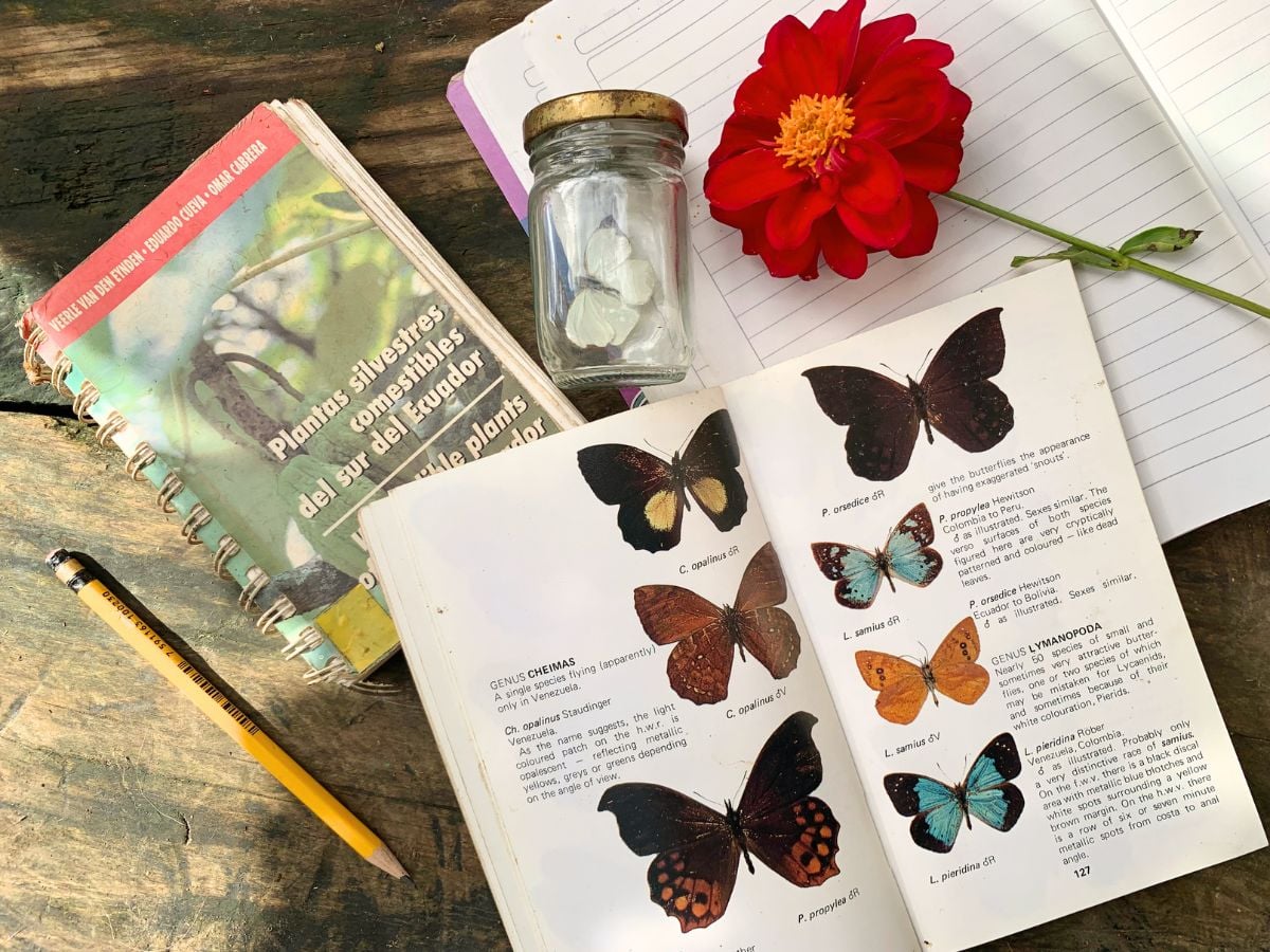 CitizenScienceforKids4 Books laid open with a butterfly specimen in a jar and a flower
