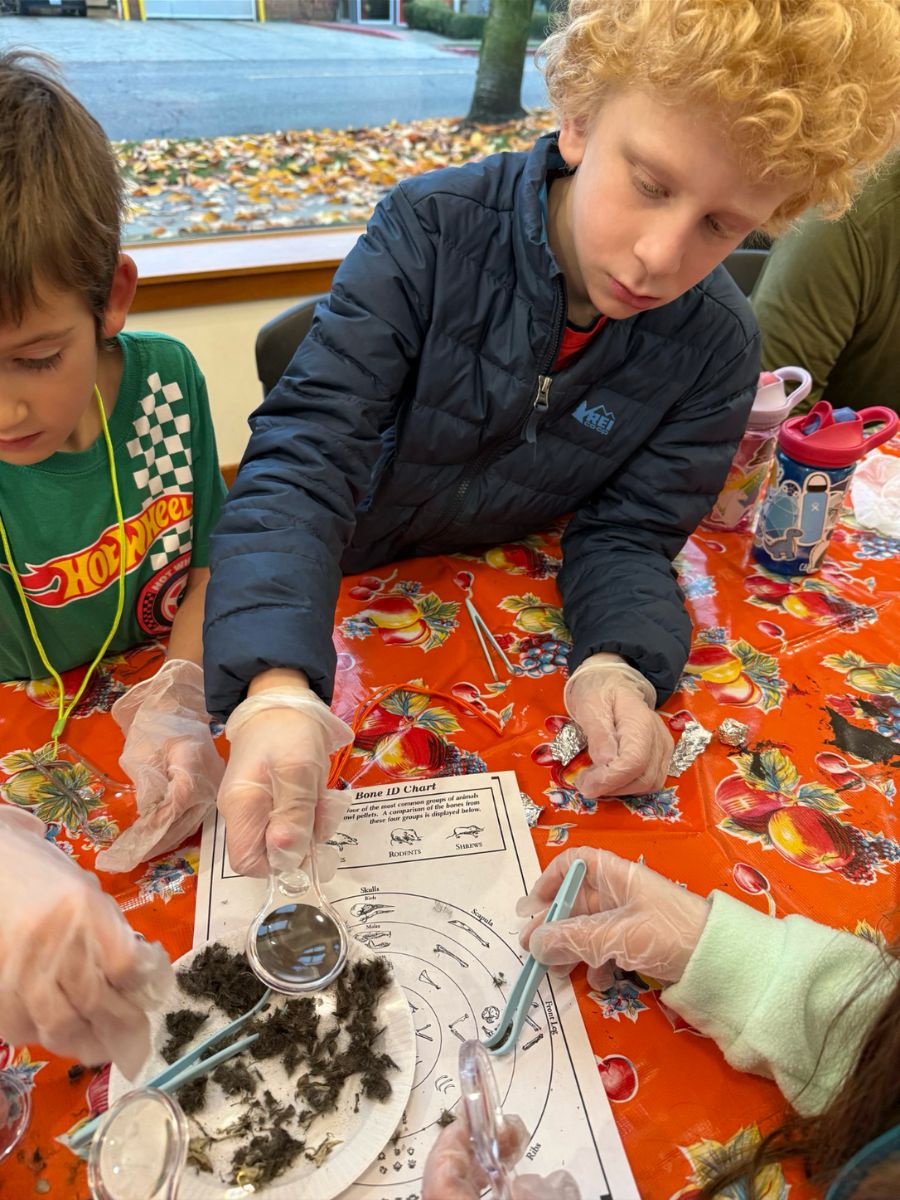 NtlParks10 Children dissect owl pellets.