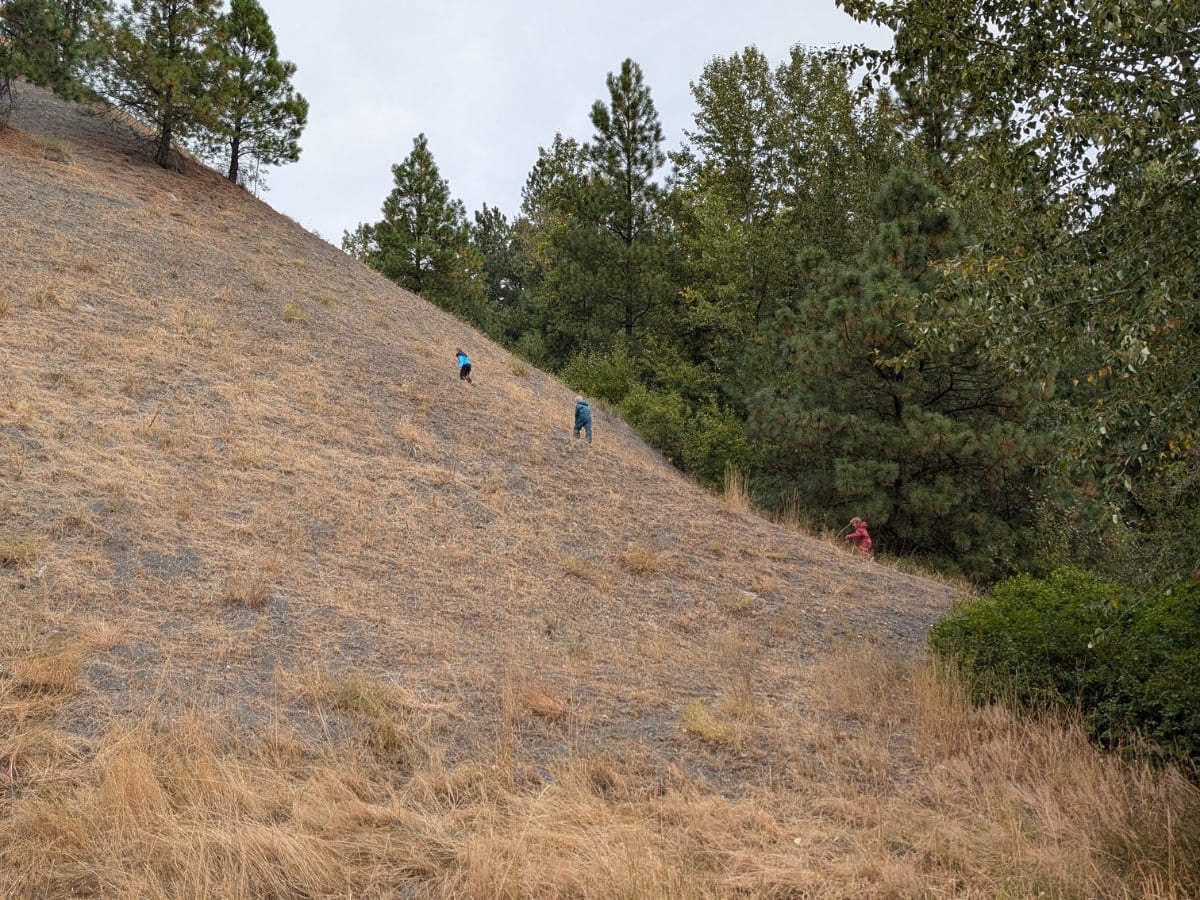 Reima Fall Hiking horizontal 1 Three kids in Reima fall gear hiking up a hill
