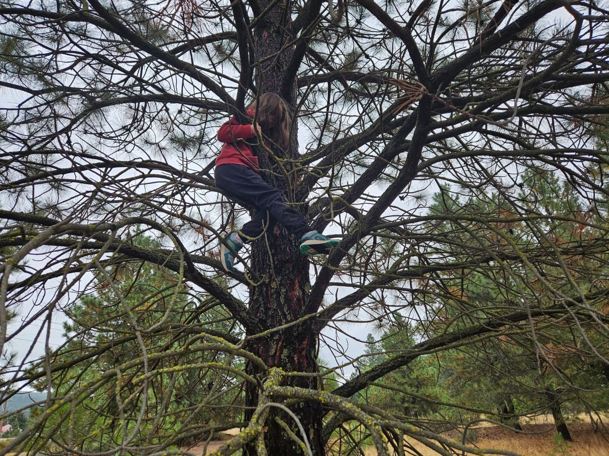 Reima Fall Hiking horizontal 20 Girl climbing a tree wearing Kiritin Reima hiking boots