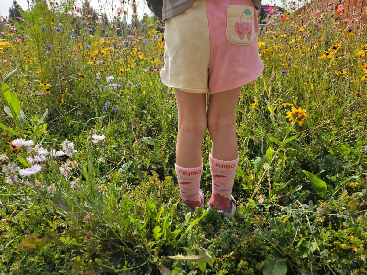 Reima Fall Hiking horizontal 6 Little girls standing in wildflowers in Reima Socks and shoes